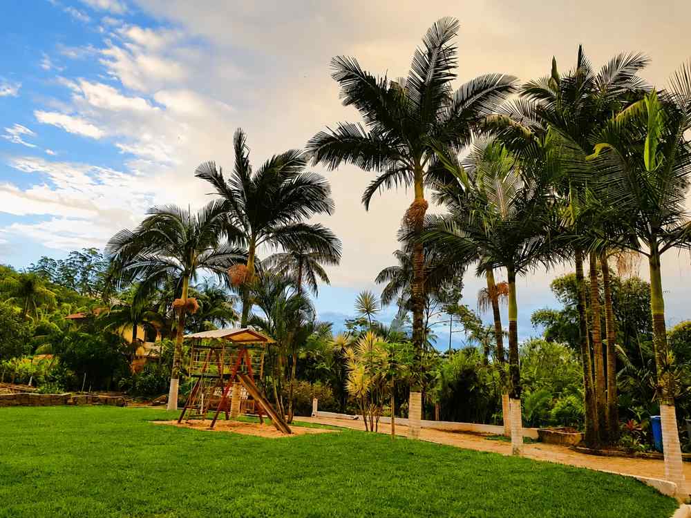 Garden lawn with palm trees and a children's play structure at the hotel
